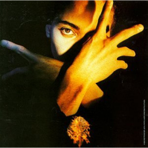 Terence Trent D'Arby  - Terence Trent D'Arby's Neither Fish Nor Flesh - Vinyl - LP