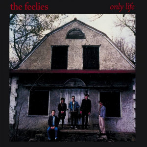 The Feelies - Only Life - Vinyl - LP