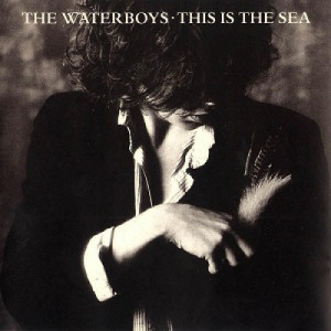 The Waterboys  - This Is The Sea - Vinyl - LP