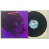 HANOVER - Hungry Eyes - LP