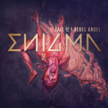 Enigma - Album Collection 2003-2016+Download