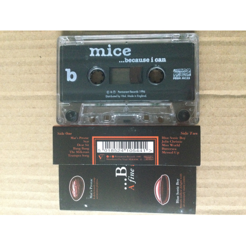 Mice - ...Because I Can - Tape - Cassete