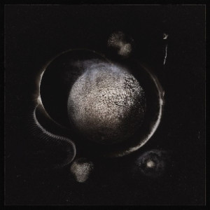 ENTHRONED - Cold Black Suns - CD - Album