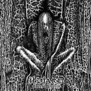 ILDJARN - Forest Poetry - CD - Album