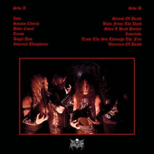 UNHOLY LUST - Taste The Sin Through The Fire - Vinyl - LP