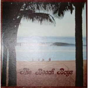 Beach Boys - Beach Boys Box Set - LP - Vinyl - LP