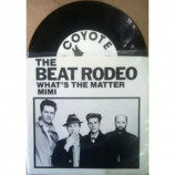 Beat Rodeo - What's The Matter - 7