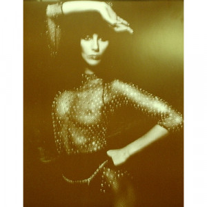 Cher - Fishnet Bodysuit - Sepia Print - Books & Others - Others