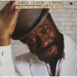 James Blood Ulmer - America - Do You Remember The Love? - LP