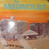 Magnolias - Concrete Pillbox - LP
