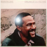 Marvin Gaye - Dream Of A Lifetime - LP