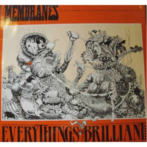Membranes - Everythings Brillant - LP - Vinyl - LP