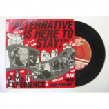 Mr. T Experience - Alternative Is Here To Stay - 7
