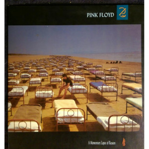 Pink Floyd - Momentary Lapse Of Reason - LP - Vinyl - LP