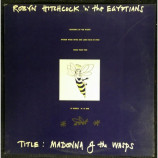 Robyn Hitchcock and the Egyptians - Madonna of the Wasps - 12