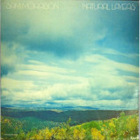 Sam Morrison - Natural Layers - LP