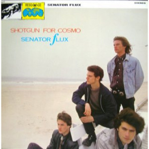 Senator Flux - Shotgun For Cosmo - LP - Vinyl - LP