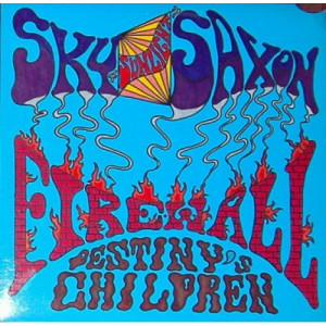 Sky Saxon/Firewall - Destiny's Children - LP - Vinyl - LP