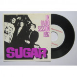 Sugar - UK Radio Session 1992 - 7