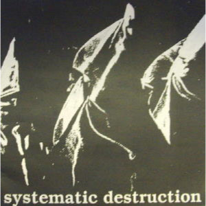 Systematic Destruction - Systematic Destruction - 7 - Vinyl - 7"