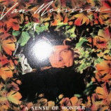 Van Morrison - Sense Of Wonder - LP