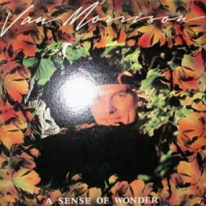 Van Morrison - Sense Of Wonder - LP - Vinyl - LP