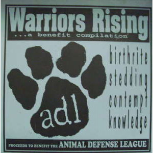 Various Artists - Warriors Rising - 7 - Vinyl - 7"