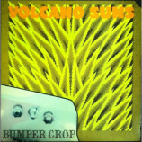 Volcano Suns - Bumper Crop - LP
