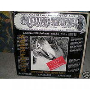 Aardvarks - Don't Wake The Sleeping Dogs - Vinyl - LP