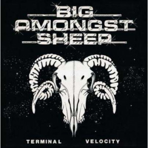 Big Amongst Sheep - Terminal Velocity - Vinyl - LP