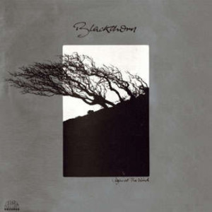 Blackthorn - Against The Wind - Vinyl - LP