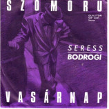 Bodrogi Gyula - Gloomy Sunday (Seress)