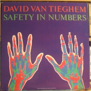 David Van Tieghem - Safety In Numbers - Vinyl - LP