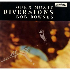 Downes Bob - Diversions - Vinyl - LP