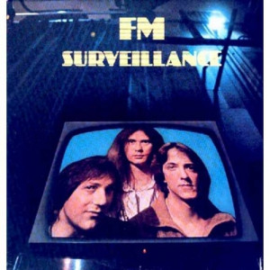 Fm - Surveillance - Vinyl - LP