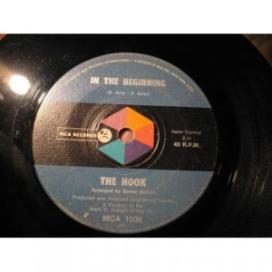 Hook - In The Beginning / Show You The Way - Vinyl - 7"