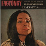 Illyes Kinga - Fagyongy