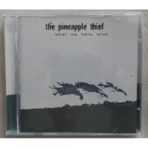 Pineapple Thief - What We Have Sown - CD - Album