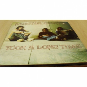 Magna Carta - Took A Long Time - Vinyl - LP