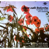 Various Artists - Nem Valo Bokreta