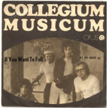 Collegium Musicum - If You Wa If You Want To Fall 