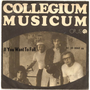 Collegium Musicum - If You Wa If You Want To Fall  - Vinyl - 7'' PS