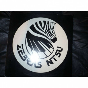 Zebras - Spirit Soars - Vinyl - LP