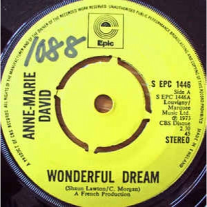 Ann-Marie David - Wonderful Dream - Vinyl - 45''