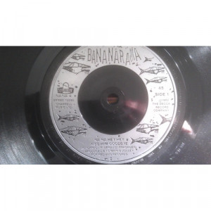 Bananarama - Na Na Hey Hey Kiss Him Goodbye - Vinyl - 45''
