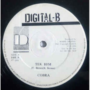 Cobra - Tek Him - Vinyl - 12" 