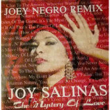 Joy Salinas - The Mystery Of Love (Joey Negro ReMix)