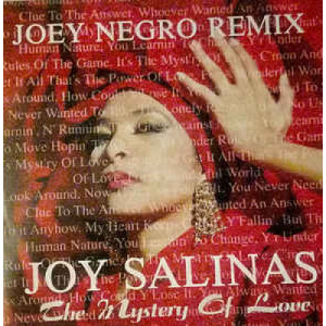 Joy Salinas - The Mystery Of Love (Joey Negro ReMix) - Vinyl - 12" 