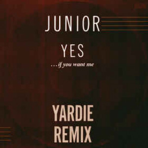 Junior - Yes... (If You Want Me) - Vinyl - 12" 