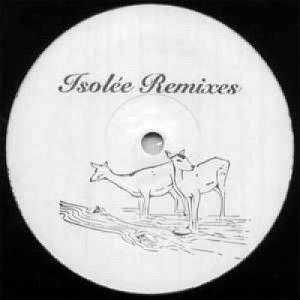 Manuel Tur Featuring Holly Backler -  Most Of This Moment (Isolée Remixes) - Vinyl - 12" 